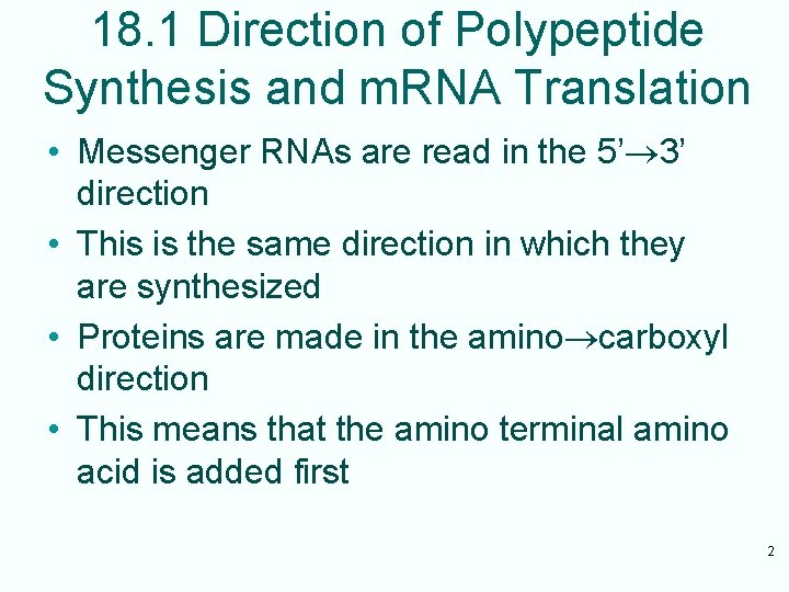 18. 1 Direction of Polypeptide Synthesis and m. RNA Translation • Messenger RNAs are