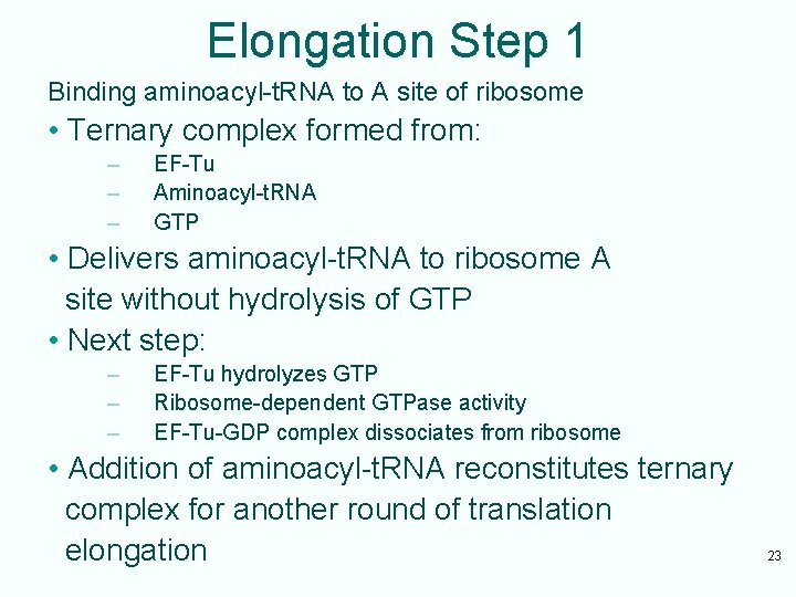 Elongation Step 1 Binding aminoacyl-t. RNA to A site of ribosome • Ternary complex