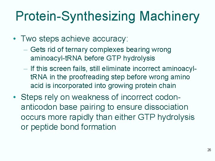 Protein-Synthesizing Machinery • Two steps achieve accuracy: – Gets rid of ternary complexes bearing
