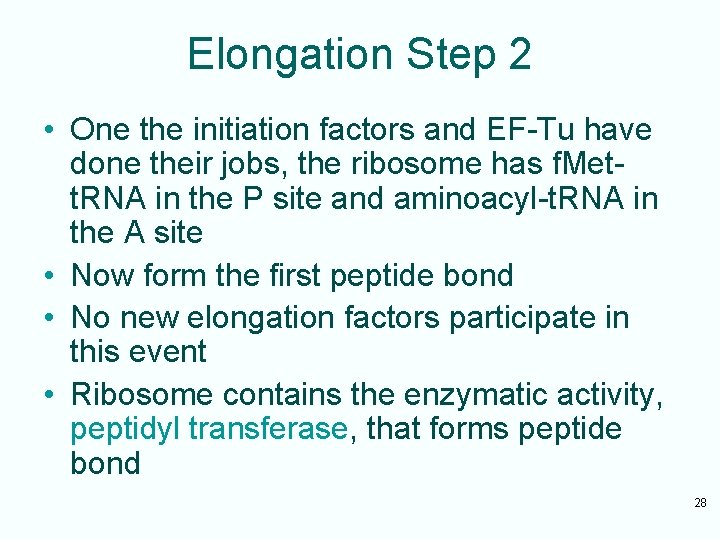 Elongation Step 2 • One the initiation factors and EF-Tu have done their jobs,