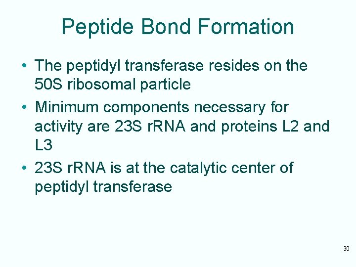 Peptide Bond Formation • The peptidyl transferase resides on the 50 S ribosomal particle