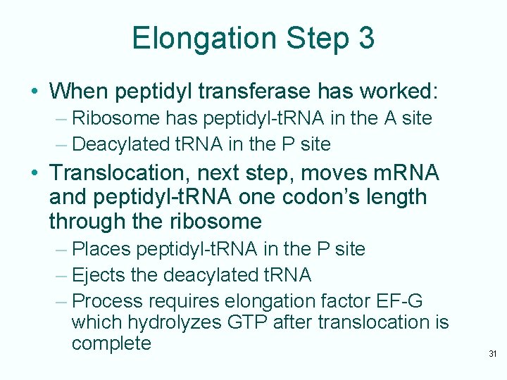 Elongation Step 3 • When peptidyl transferase has worked: – Ribosome has peptidyl-t. RNA