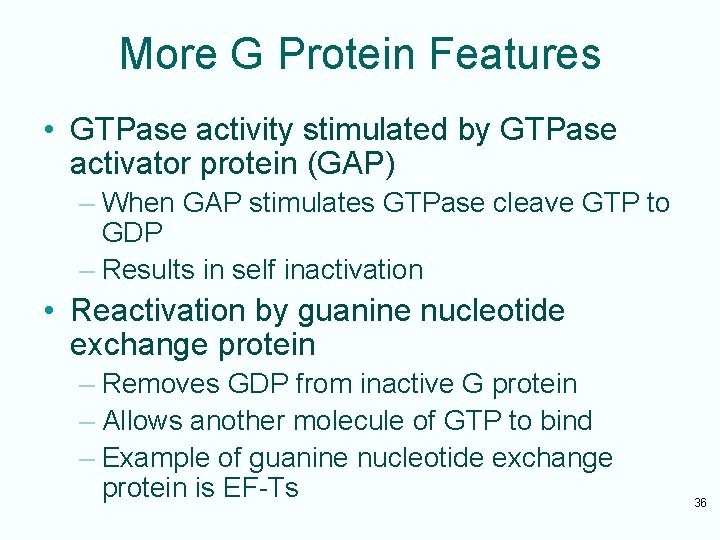 More G Protein Features • GTPase activity stimulated by GTPase activator protein (GAP) –