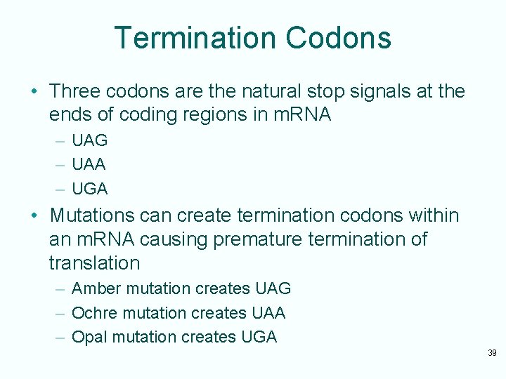 Termination Codons • Three codons are the natural stop signals at the ends of