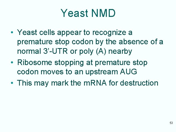 Yeast NMD • Yeast cells appear to recognize a premature stop codon by the