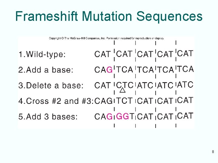 Frameshift Mutation Sequences 8 