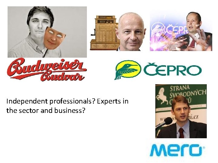 Independent professionals? Experts in the sector and business? Independent professionals? Experts in the sector and business?