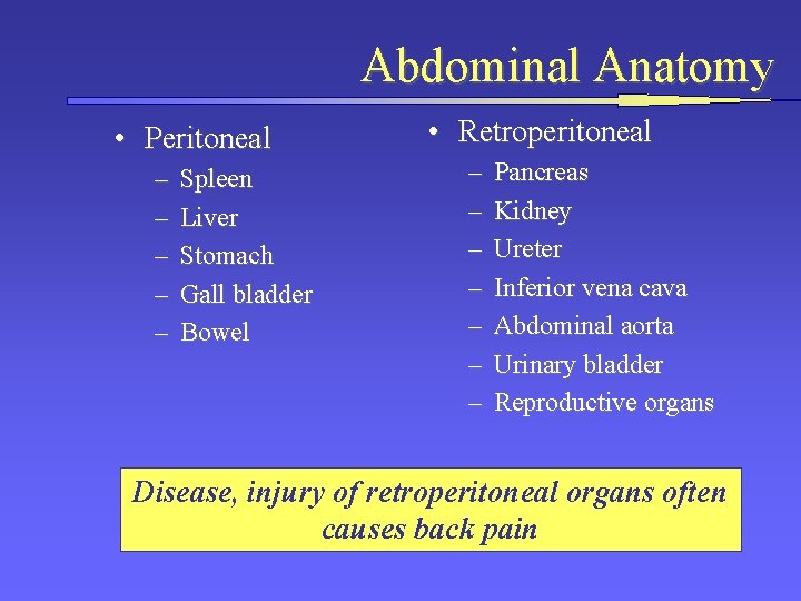 Abdominal Anatomy • Peritoneal – – – Spleen Liver Stomach Gall bladder Bowel •