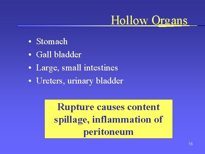 Hollow Organs • • Stomach Gall bladder Large, small intestines Ureters, urinary bladder Rupture