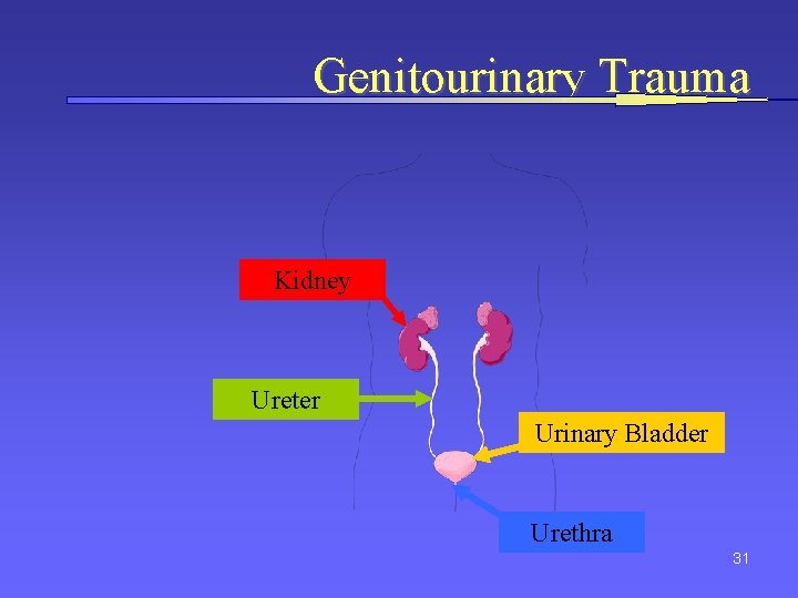 Genitourinary Trauma Kidney Ureter Urinary Bladder Urethra 31 