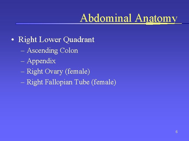 Abdominal Anatomy • Right Lower Quadrant – Ascending Colon – Appendix – Right Ovary