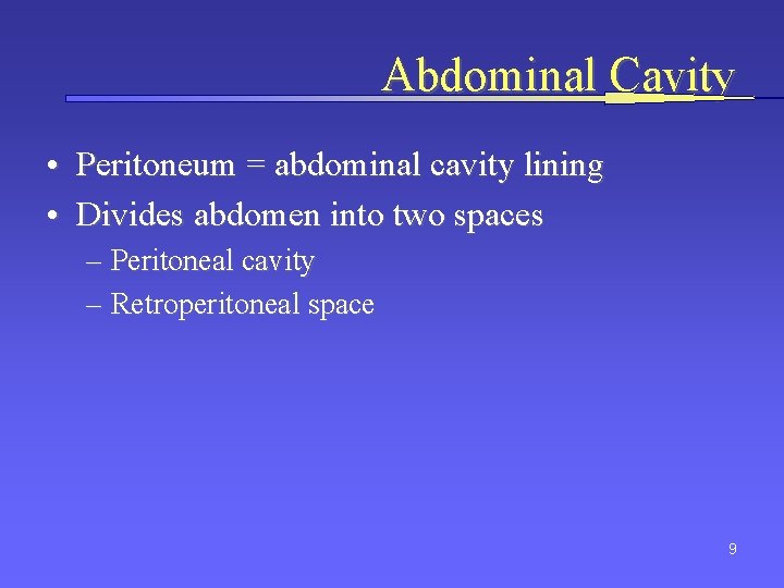 Abdominal Cavity • Peritoneum = abdominal cavity lining • Divides abdomen into two spaces