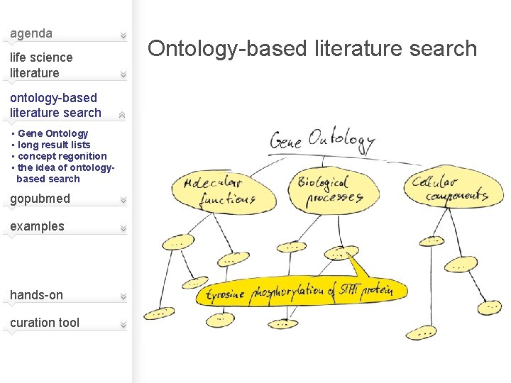 agenda life science literature ontology-based literature search • Gene Ontology • long result lists