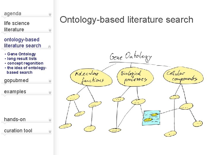 agenda life science literature ontology-based literature search • Gene Ontology • long result lists