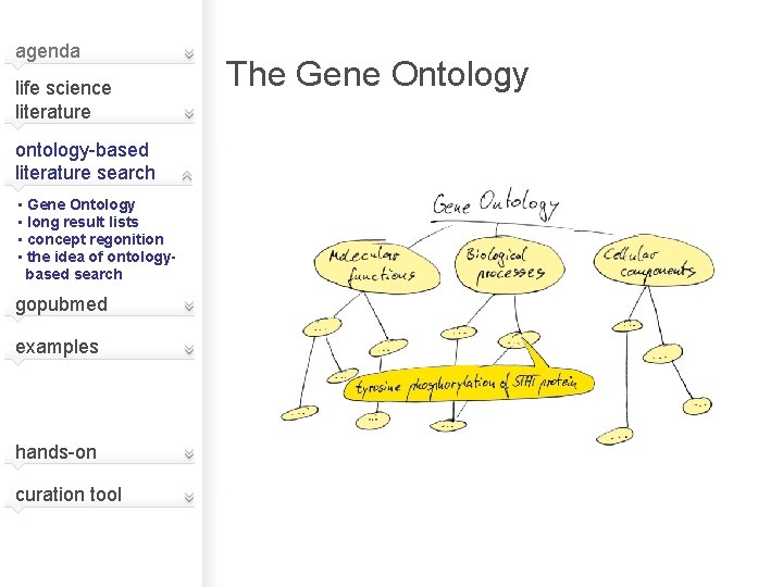 agenda life science literature ontology-based literature search • Gene Ontology • long result lists