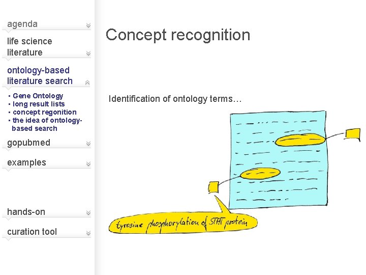 agenda life science literature Concept recognition ontology-based literature search • Gene Ontology • long