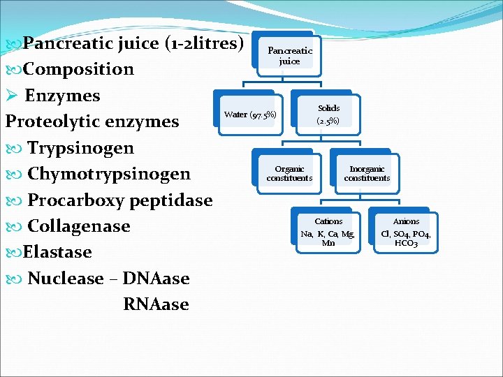  Pancreatic juice (1 -2 litres) Pancreatic juice Composition Ø Enzymes Solids Water (97.