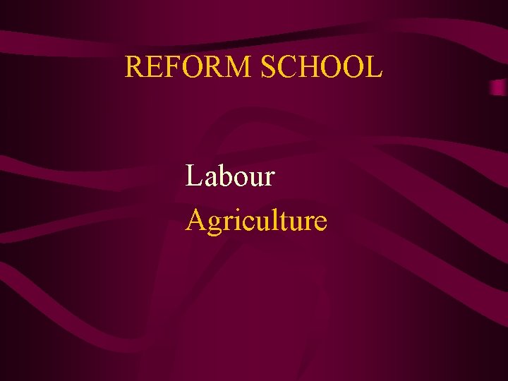 REFORM SCHOOL Labour Agriculture 