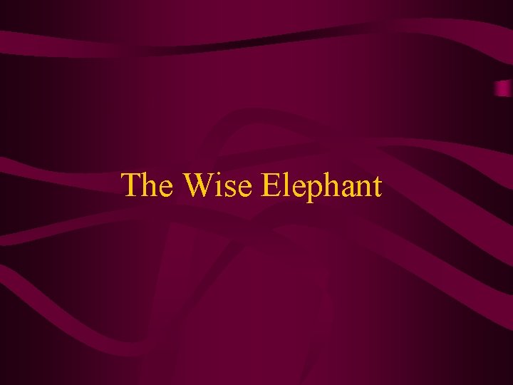 The Wise Elephant 