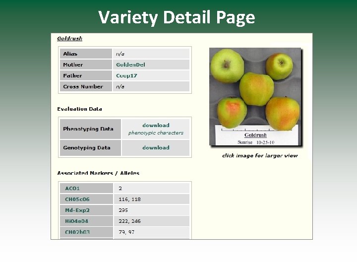 Variety Detail Page 