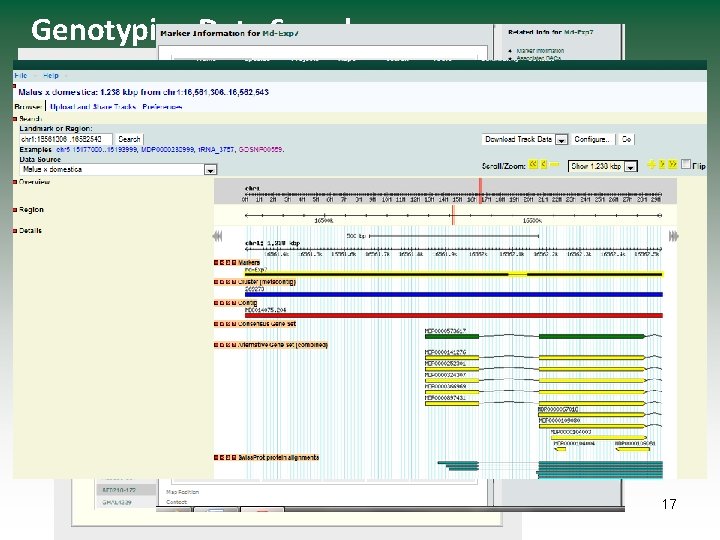 Genotyping Data Search 17 
