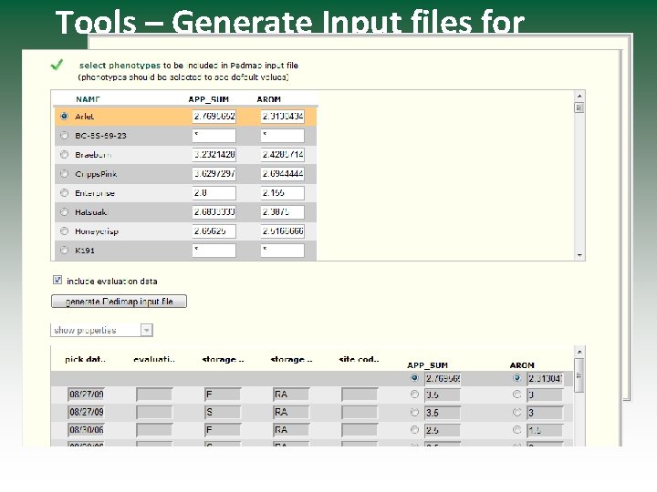 Tools – Generate Input files for Pedimap, a breeding software 