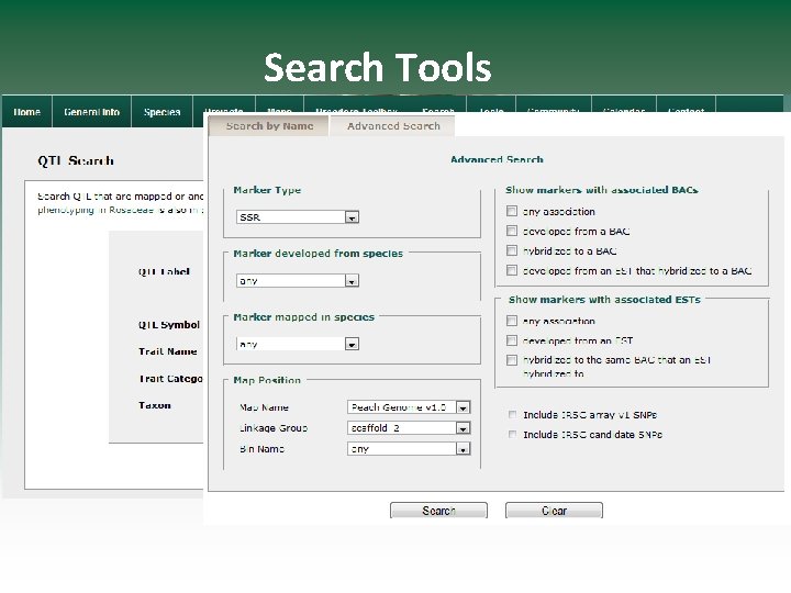 Search Tools 