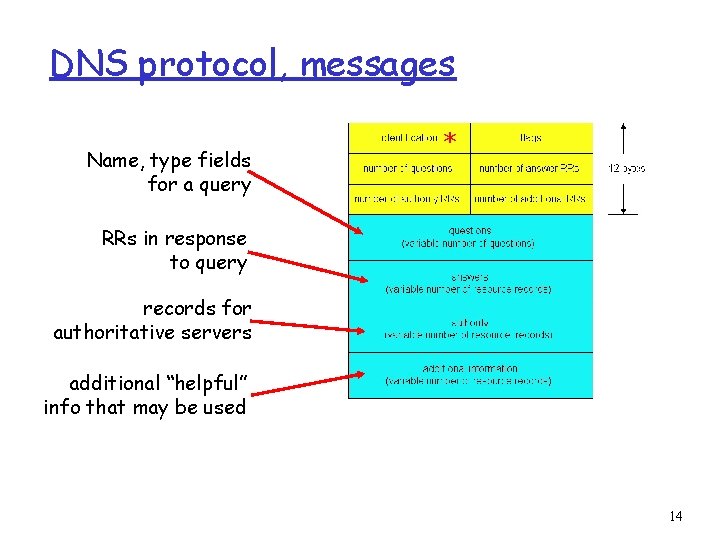 DNS protocol, messages Name, type fields for a query * RRs in response to