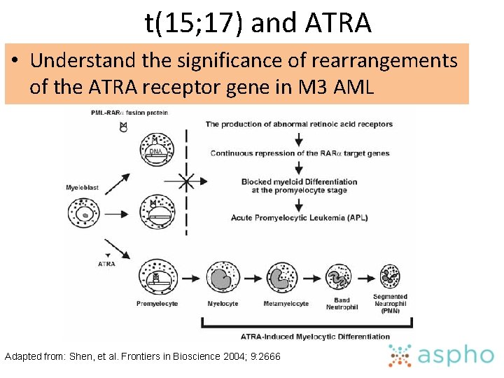 t(15; 17) and ATRA • Understand the significance of rearrangements of the ATRA receptor