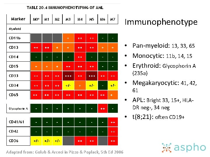 Immunophenotype • Pan-myeloid: 13, 33, 65 • Monocytic: 11 b, 14, 15 • Erythroid: