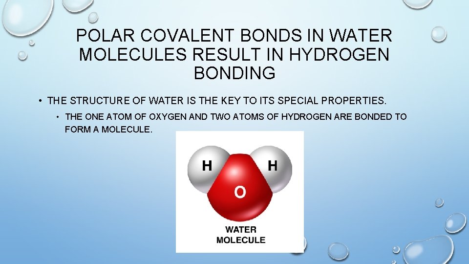 POLAR COVALENT BONDS IN WATER MOLECULES RESULT IN HYDROGEN BONDING • THE STRUCTURE OF