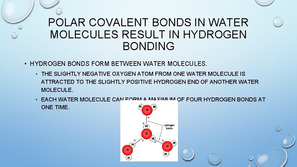 POLAR COVALENT BONDS IN WATER MOLECULES RESULT IN HYDROGEN BONDING • HYDROGEN BONDS FORM