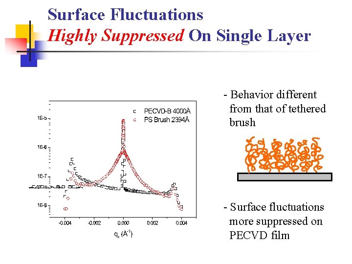 Surface Fluctuations Highly Suppressed On Single Layer - Behavior different from that of tethered