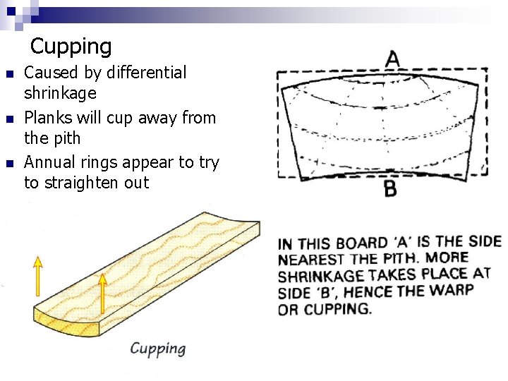 Cupping n n n Caused by differential shrinkage Planks will cup away from the