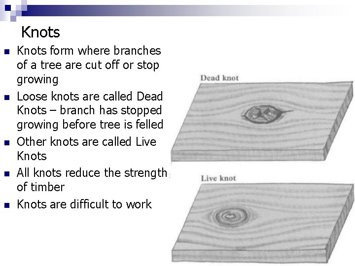 Knots n n n Knots form where branches of a tree are cut off