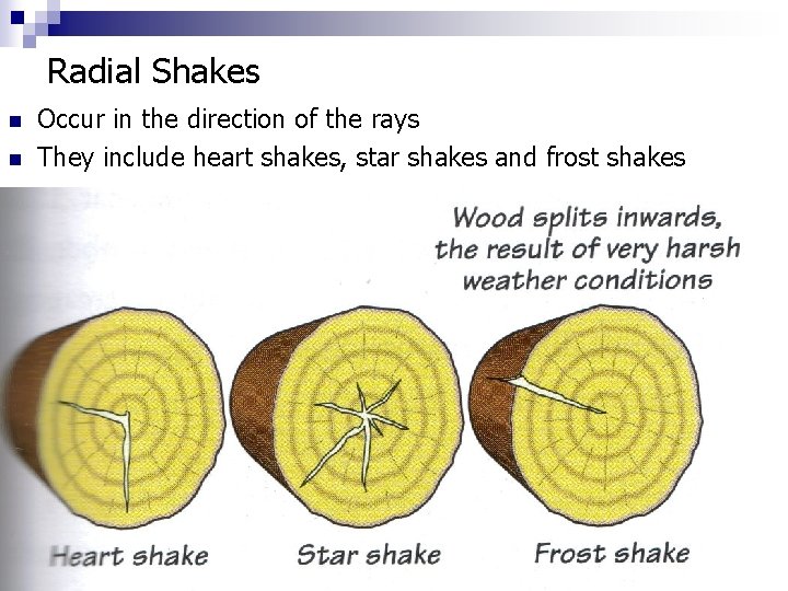 Radial Shakes n n Occur in the direction of the rays They include heart