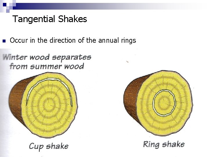 Tangential Shakes n Occur in the direction of the annual rings 