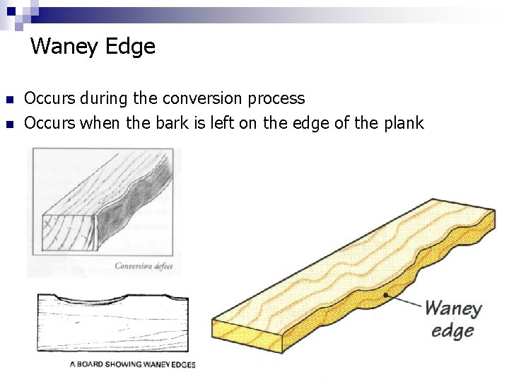 Waney Edge n n Occurs during the conversion process Occurs when the bark is