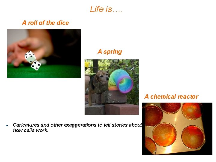 Life is…. A roll of the dice A spring A chemical reactor Caricatures and