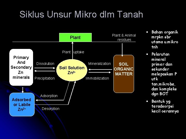 Siklus Unsur Mikro dlm Tanah Plant & Animal residues Plant uptake Primary And Dissolution