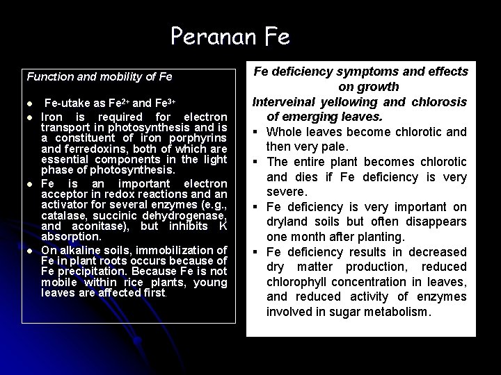 Peranan Fe Function and mobility of Fe l l Fe-utake as Fe 2+ and