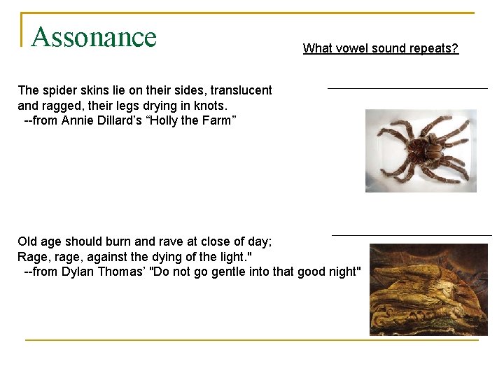 Assonance What vowel sound repeats? The spider skins lie on their sides, translucent and