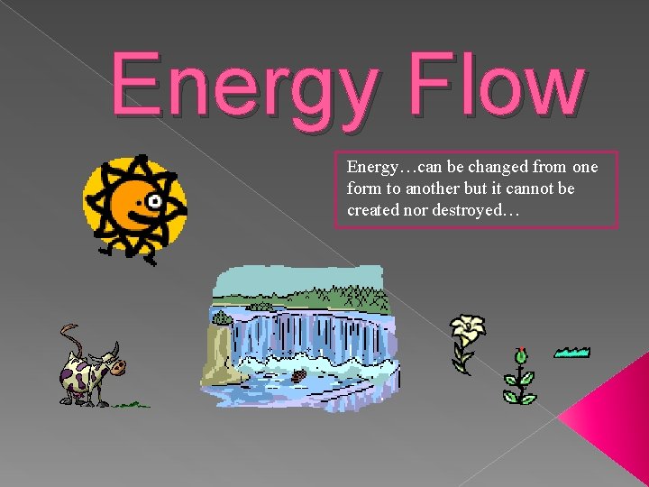 Energy Flow Energy…can be changed from one form to another but it cannot be