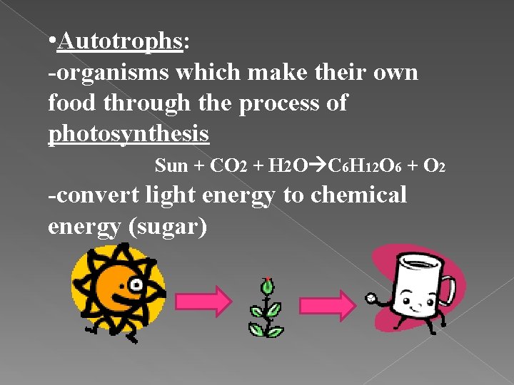  • Autotrophs: -organisms which make their own food through the process of photosynthesis