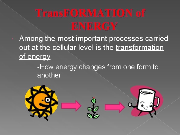 Trans. FORMATION of ENERGY Among the most important processes carried out at the cellular