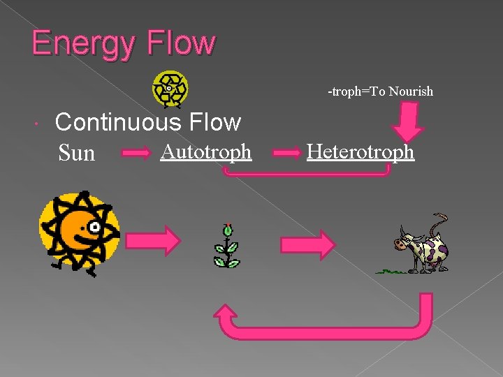 Energy Flow -troph=To Nourish Continuous Flow Autotroph Sun Heterotroph 