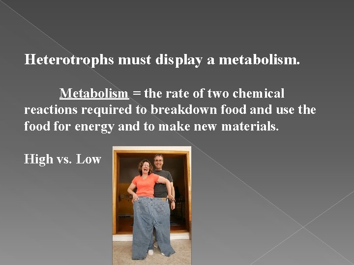 Heterotrophs must display a metabolism. Metabolism = the rate of two chemical reactions required