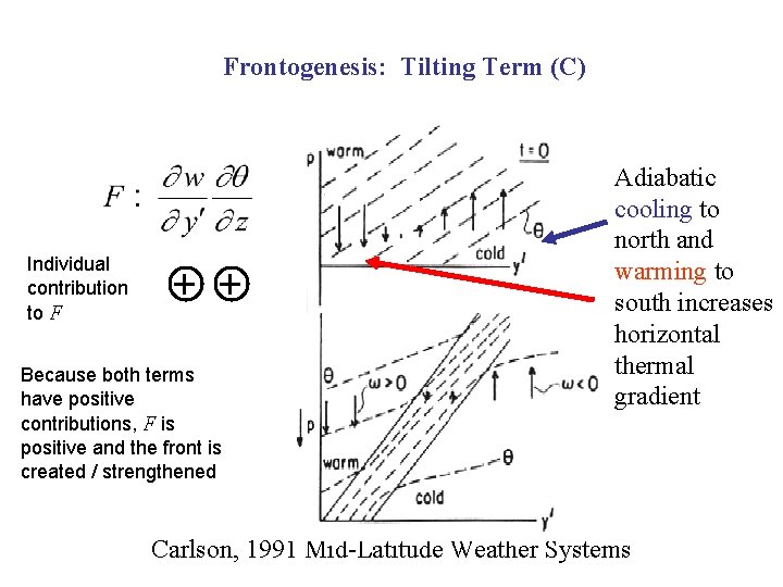 Frontogenesis: Tilting Term (C) Individual contribution to F + + Because both terms have