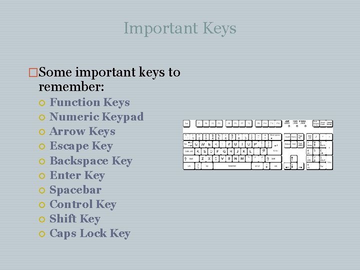 Important Keys �Some important keys to remember: Function Keys Numeric Keypad Arrow Keys Escape Important Keys �Some important keys to remember: Function Keys Numeric Keypad Arrow Keys Escape