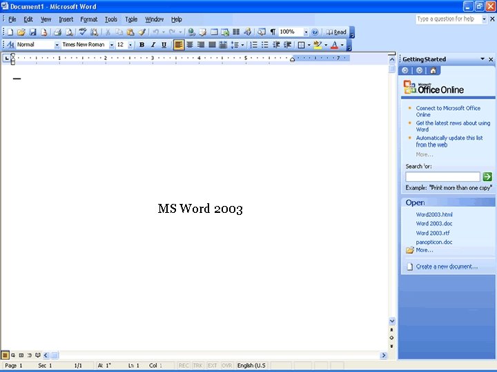 MS Word 2003 